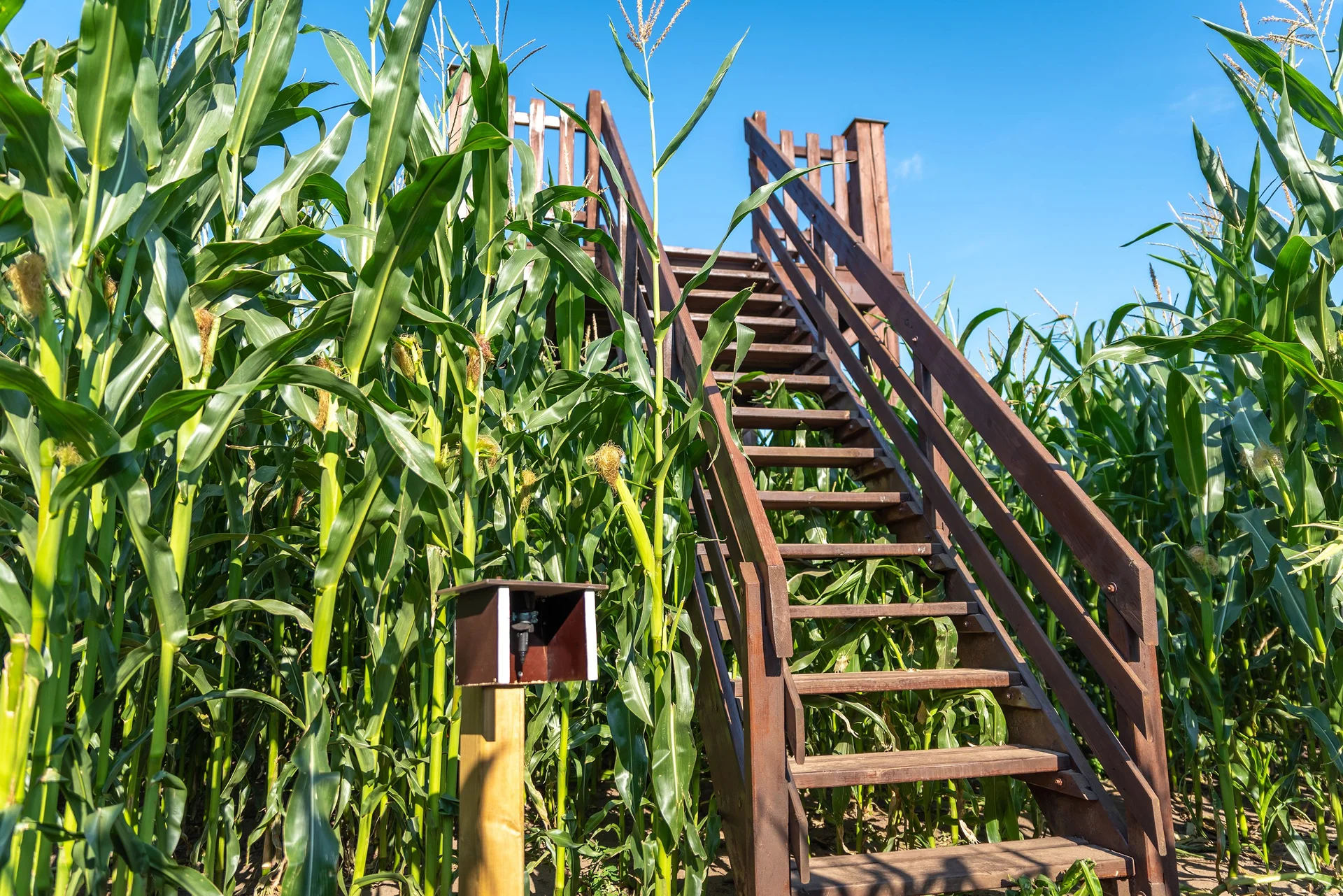 Adventure Golf & Maislabyrinth