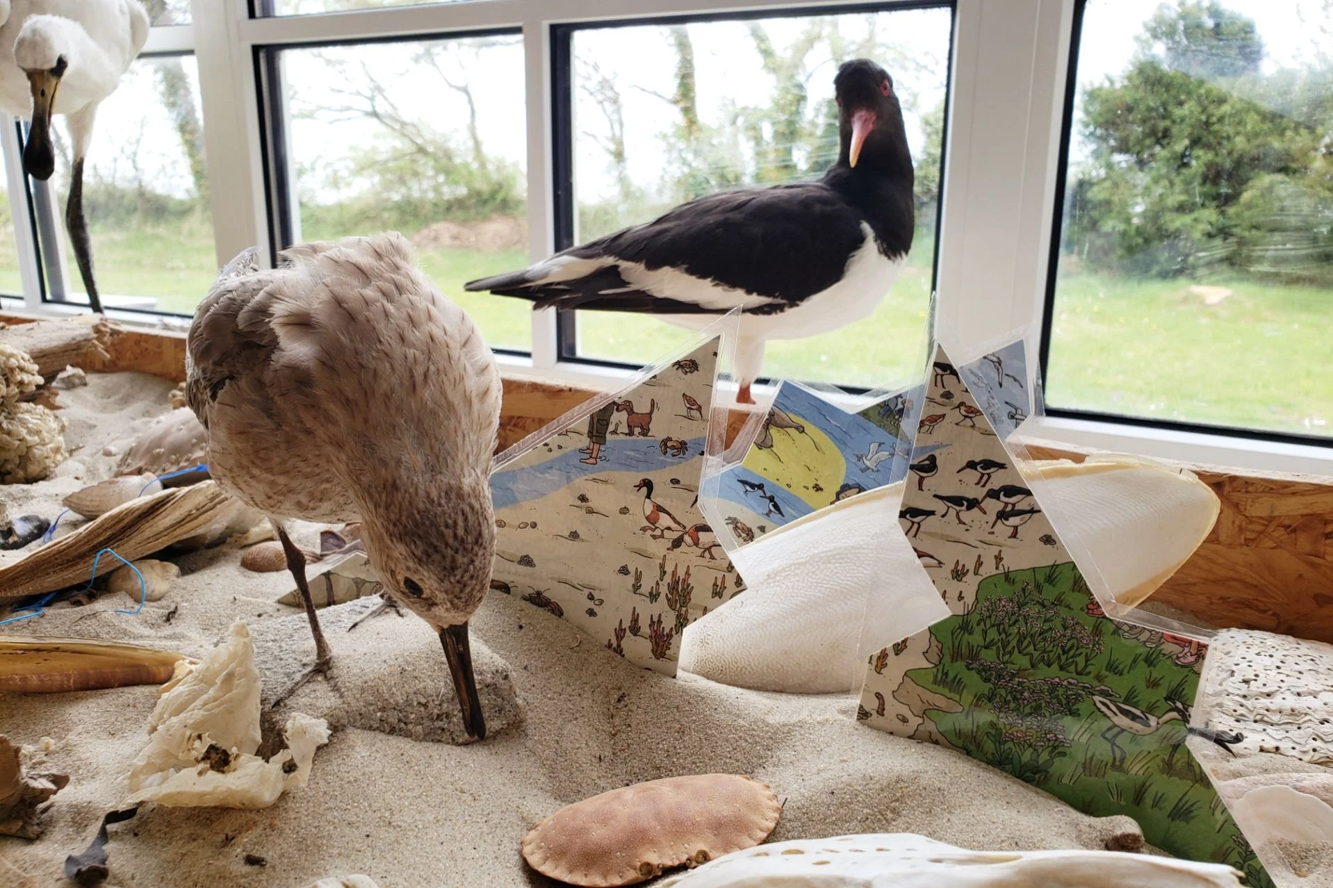 Watt'n Escape im Nationalpark-Haus